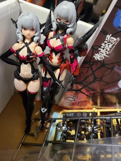 Photo of two anime girl model kits posting together in the box. Both have silver hair and red eyes. One is in more casual wear, while the other is in revealing red and black armor with a face mask and bat ear attachments. The one in casual wear is posed with her arm in front of the one in armor, like she's keeping her back.