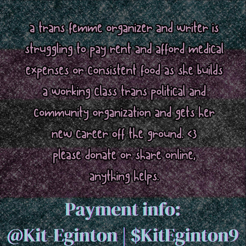 A trans flag background, with glitter instead of just stripes. Over the flag, there's the text "A transfemme organizer and writer is struggling to pay rent and afford medical expenses or consistent food as she builds a working class trans political and community organization and gets her new career off the ground. Please donate or share online,
anything helps." in pink letters outlined with black and "Payment info:
Kit-Eginton | $KitEginton9" in bluish letters with holo edges