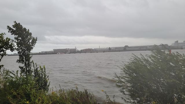 Querformat in Farbe. Blick vom Ufer auf die Elbe. Starker Wind drückt das Wasser stromaufwärts und beugt die grünen Sträucher und Büsche. Das Wasser ist wellig, der Hiel grau bedeckt mit schweren Wolken. Am anderen Ufer stehen Gebäude, eine Fähre kreuzt.