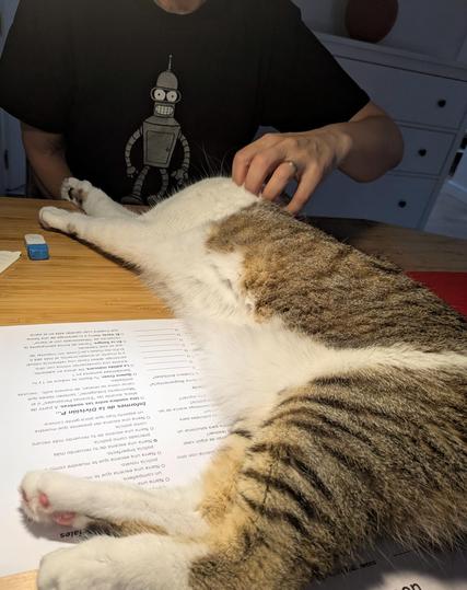 Gatita rayada y blanca interrupiendo una partida de rol tras subirse a la mesa y tumbarse encima de los papeles, dados y lápices. Lo único que logra escapar es una goma de borrar.