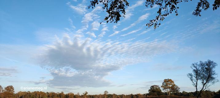Een uitgewaaierde, grote wolk met blauwe lucht boven de Hoge Veluwe met aan de horizon bos

Eine aufgefächerte, große Wolken mit blauem Himmel über der Hoge Veluwe mit Wald am Horizont