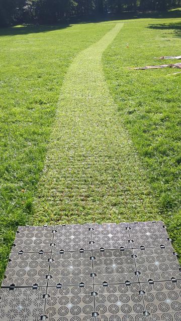 Eine grüne Wiese, vorn im Bild ein endender Weg aus Rasenplatten, der sich fortsetzt in einem Streifen hellerer Wiese (wo der Weg bereits entfernt wurde)