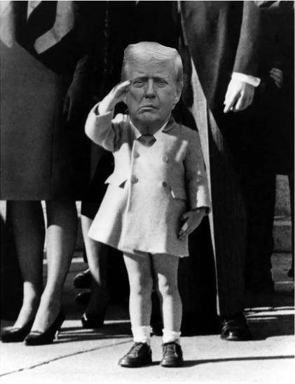 Half-staffs and mandated mourning - Ann Telnaes