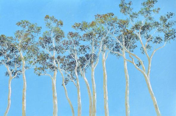 An Australian landscape painting featuring a graceful row of slender white gum trees set against a clear blue sky.
