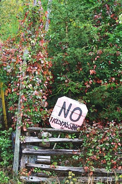 A painted sign, No Trespassing, sits crookedly, against a worn wooded fence. The fence is partially covered in red creeping ivy. Behind the fence are overgrown bushes and trees, and the ivy is spread and clinging to the boughs. The digitally modified composition has a hyperreal painterly quality to the colour and texture.
