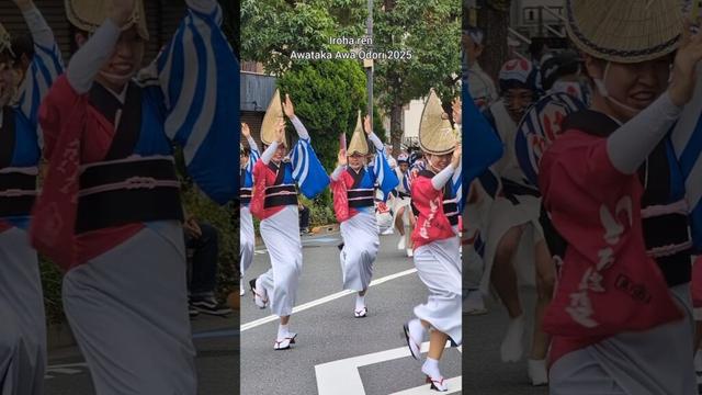 いろは連｜阿波高2025 Awa Odori（東京都板橋区西台）