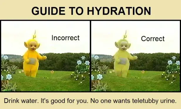 An infographic titled "Guide to Hydration" with a side-by-side image of the yellow Teletubby named Laa-Laa. The Teletubby on the left is a dark yellow labeled "incorrect" and the one on the right is pale yellow and says "correct". Beneath both is a caption, "Drink water. It's good for you. No one wants teletubby urine"