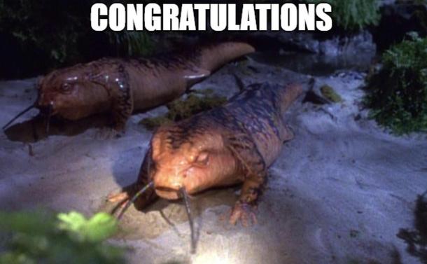 The Salamanders from Star Trek Voyager’s Threshold with the caption “congratulations”