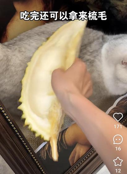 Rub durian shell in cat