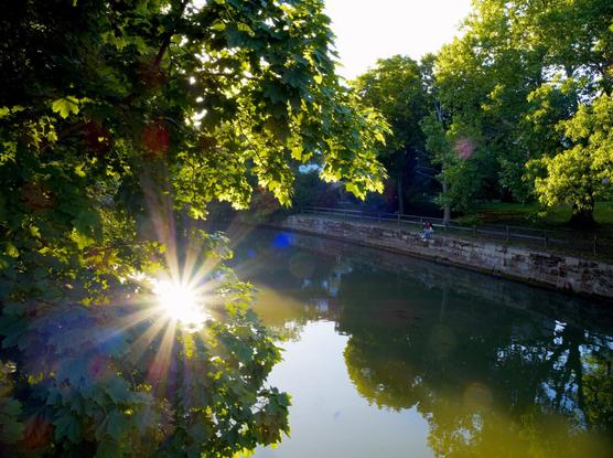 Summer evening scene with water, trees and sunstar, Nuremberg, Germany