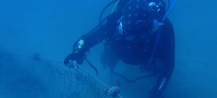 Gravity Wave ha realizado una importante labor en Calpe.