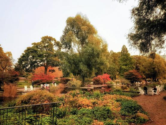A wide shot of a park in autumn. A small, dark pond is at the centre of the image, reflecting the surrounding trees. On the left and right, several white chairs are arranged in small groups on the grass, with people sitting on some of them. The foliage is a mix of deep greens, vibrant reds, and bright oranges, with a few leaves beginning to turn yellow. The sky is a hazy white. A dirt path curves through the scene, leading towards a large, prominent tree in the middle. The overall mood is peaceful and serene.