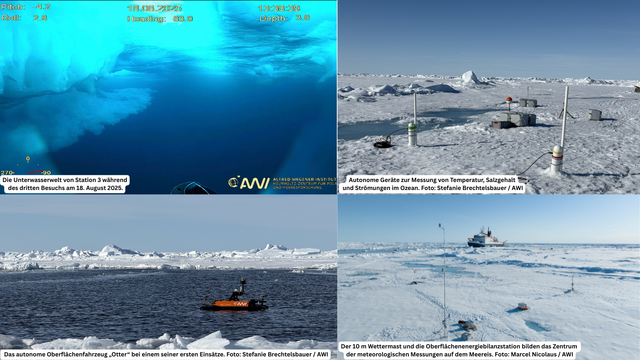 Bild oben links: Die Unterwasserwelt von Station 3 während
des dritten Besuchs am 18. August 2025.

Bild oben rechts: Autonome Geräte zur Messung von Temperatur, Salzgehalt
und Strömungen im Ozean. Foto: Stefanie Brechtelsbauer / AWI

Bild unten links: Das autonome Oberflächenfahrzeug „Otter“ bei einem seiner ersten Einsätze. Foto: Stefanie Brechtelsbauer / AWI

Bild unten rechts: Der 10 m Wettermast und die Oberflächenenergiebilanzstation bilden das Zentrum der meteorologischen Messungen auf dem Meereis. Foto: Marcel Nicolaus / AWI