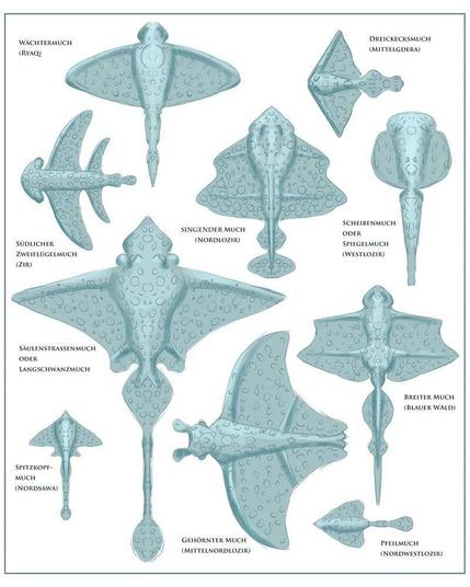 A sheet of topdown views of fantasy creatures shaped like rays. The style is schematic, each animal is shaded in only pale green. Each is labelled with a species name and area of habitation