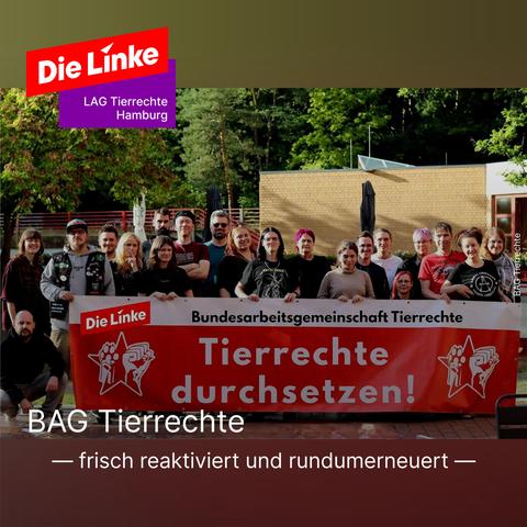 Viele Menschen hinter einem rot-weißen Banner, auf dem sich rechts und links das ikonische Logo mit der hochgereckten Faust und der hochgereckten Pfote befinden. Oben auf dem Banner steht schwarz auf weißem Grund Bundesarbeitsgemeinschaft Tierrechte, darunter auf rotem Grund in weißer Schrift ganz groß: Tierrechte durchsetzen! Hinter den Menschen befinden sich ein niedriges Gebäude und hohe Laubbäume.