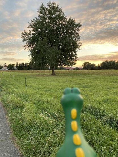 Dino schaut zur sonne