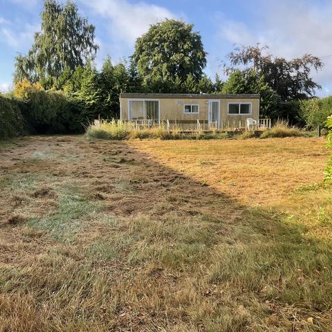 yellow house in a yellow garden.