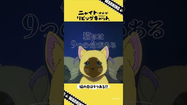 TVアニメ『ニャイト・オブ・ザ・リビングキャット』猫知識「猫の命は９つある!?」