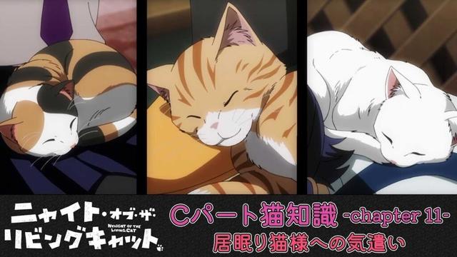 TVアニメ『ニャイト・オブ・ザ・リビングキャット』猫知識Cパート-Chapter11-