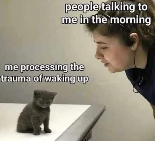 Meme image: a young caucasian woman in a black top leans from the top right to look at a (bottom left) smol dark grey kitten on a worktop with a white surface 
Text over woman: people talking to me in the morning
Text over kitten: me processing the trauma of waking up