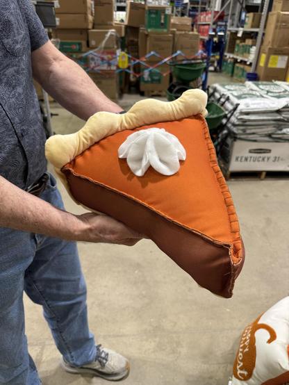 A two-foot long stuffed piece of pumpkin pie (complete with whipped cream on top) is being held up in a DIY store by a man.  It does look cute, in all its orange, crusty goodness.

As my sister is a serious cyclist and extremely, shall I say, fit, I encourage her in anything which might be considered indulgence.
