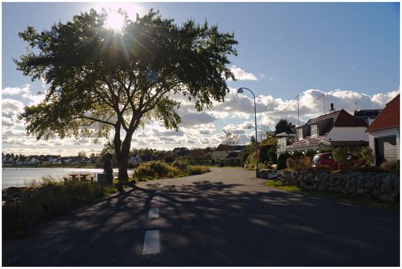 A street along the seaside in Dyreborg, southern Funen. Backlit, with a tree mostly shading the sun which is in the mid-left-top of the image. A bit of water to the left,  white houses with red roofs on the right. Captured in October 2017.