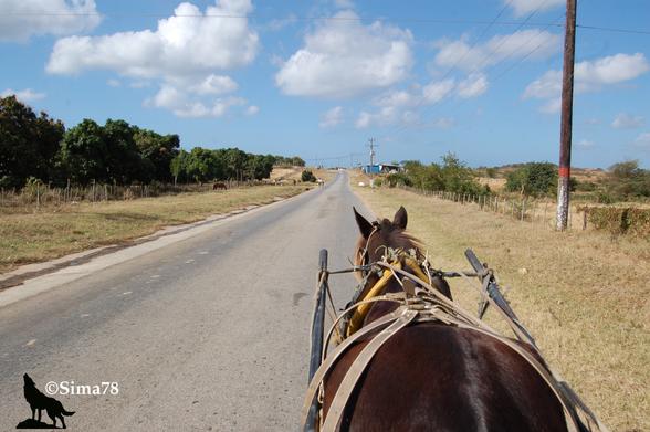 Sur une charrette tirée par un cheval sur une route de campagne et un ciel dégagé.
On a horse-drawn cart on a country road under a clear sky.
En una carreta tirada por un caballo en un camino de campo y bajo un cielo despejado.