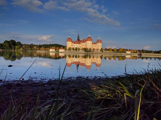 Schloß Moritzburg spiegelt sich im See, Gras im Vordergrund, blauer Himmel