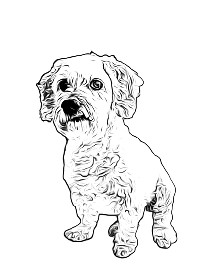 Kissmykumbaya, Little white dog on transparent background PNG, CC0 1.0