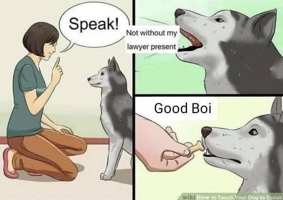 Three-panel comic modified from WikiHow article on dog training. In the large panel on the left column, a woman in a green t-shirt, brown trousers, and pink flats kneels before a husky type dog in sit position. She raises her finger and says, "Speak!" This panel appears to be original. The half-size ones in the right column look to be WikiHow art with new text. The top panel is a closeup of the dog barking, with the text "Not without my lawyer present" superimposed. In the last panel, the dog looks a little surprised but happy to have the woman hand them a tiny bone-shaped treat, with her words "Good Boi" superimposed. An important reminder never to talk to the cops unprotected.