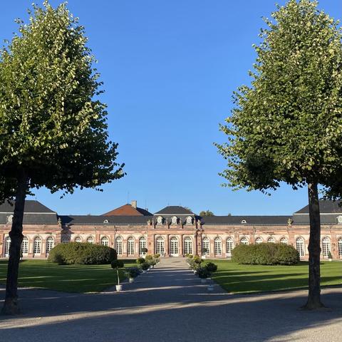 Das Bild zeigt ein barockes Gebäude mit einer symmetrischen Fassade, die aus rotem Sandstein gebaut ist. Es hat viele große, rechteckige Fenster mit weißen Rahmen, die gleichmäßig über die gesamte Länge des Gebäudes verteilt sind. Das Gebäude ist mit dekorativen Elementen wie Säulen und Ornamenten verziert. Vor dem Gebäude befindet sich ein gepflegter Rasen mit grünen Sträuchern und Bäumen, die die Symmetrie betonen. Zwei hohe Bäume mit dichtem grünem Laub stehen auf beiden Seiten des Gebäudes. Ein gepflasterter Weg führt direkt zum Eingang des Gebäudes. Der Himmel ist klar und blau.