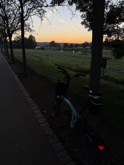 Klapprad am Baum, Morgenhimmel über der Elbe