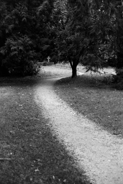 The rain

#Leica #LeicaM6 #M6 #Ilford #HP5+ #pushedfilm #XT-3 #35mm #analog #shootfilm #film #photography #BelieveInFilm