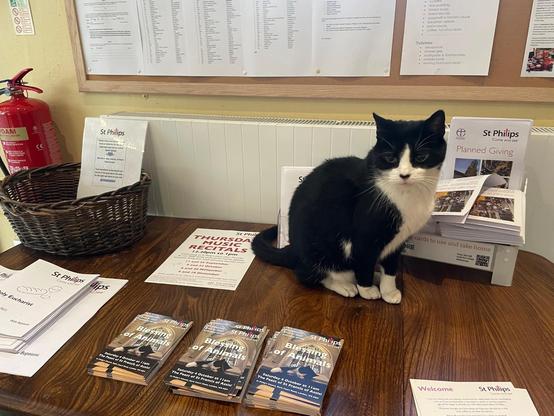 Black and white cat sitting on the welcome desk next to piles of leaflets advertising the blessing of the animals service with a picture of a black and white cat on them.