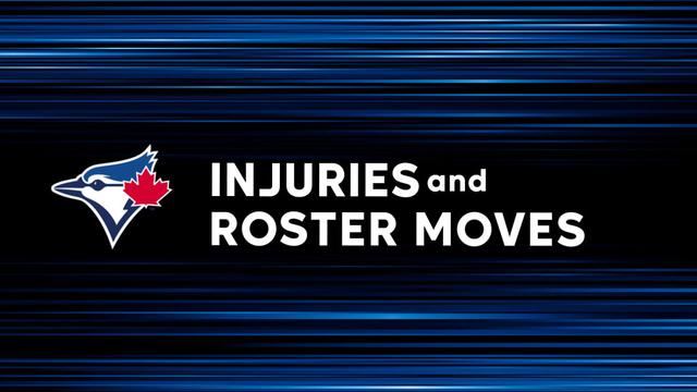 Toronto Blue Jays make roster move following finale with Tampa Bay Rays