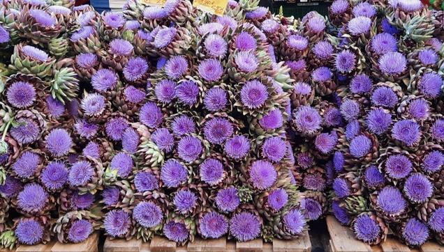 Eine Vielzahl lila blühender Artischocken auf dem Markt.