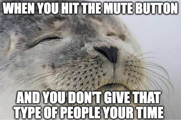 A seal with a blissful face. Two captions read “when you hit the mute button” and “and you don’t give that type of people your time”