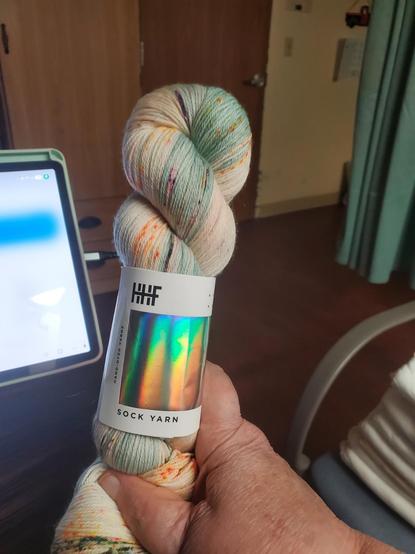 Speckled skein with the questionable aqua