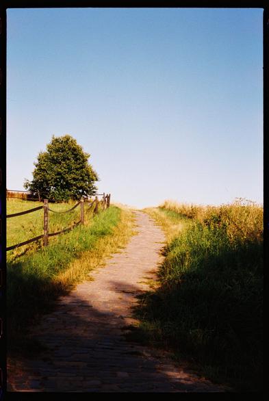A sunlit cobblestone footpath climbs a grassy embankment toward the horizon. A lone broad tree and a weathered wooden fence line the left; tall golden grasses border the right. A long diagonal shadow crosses the path beneath a clear blue sky, with the black border of 35mm film visible. (Photo by me, CC-BY-4.0, Adox Color Mission @ EI 160, Zeiss Biogon 35mm f/2.8 1950s)