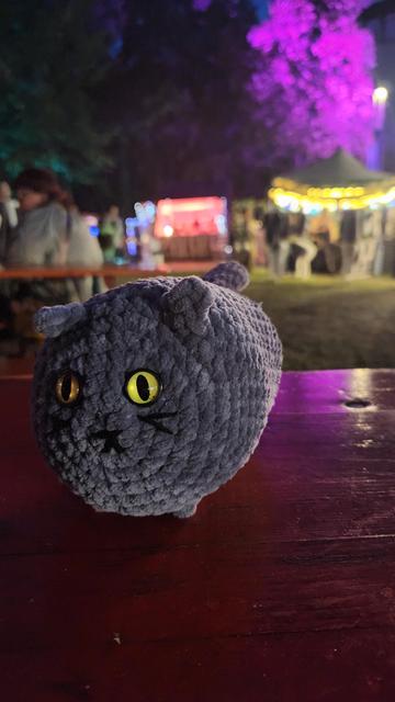 A gray round plush cat on a wooden surface. He looks very chonky