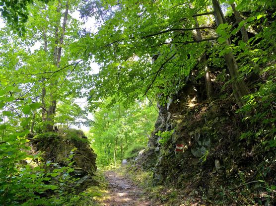 Rocky hiking trail in the thaya valley, waldviertel, lower austria