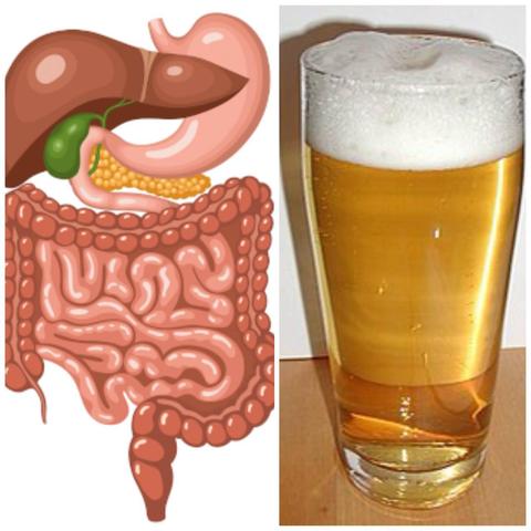 Links: Zeichnung von Magen, Leber, Gallenblase, Pankreas und Darm. Rechts: Glas Bier mit Schaumkrone.