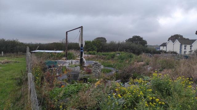 New garden with canvas strapped to one of the 2 telegraph poles which form a frame for the shelter.