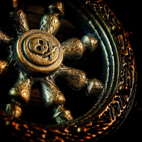 macro photograph of the "Helm" coin from Pete's Pirate Life