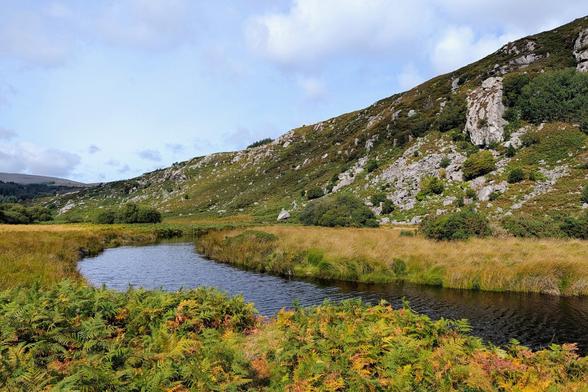 A winding, dark-blue river flows through a grassy, mountainous valley in Ireland. The banks of the river are lined with a mixture of green and brown grasses and bushes, including vibrant, orange-tipped bracken in the foreground. The river curves around a small peninsula of vegetation on the left and continues towards the base of a large, green-and-grey mountain that dominates the background. The sky is partly cloudy, with scattered white clouds against a pale-blue sky.