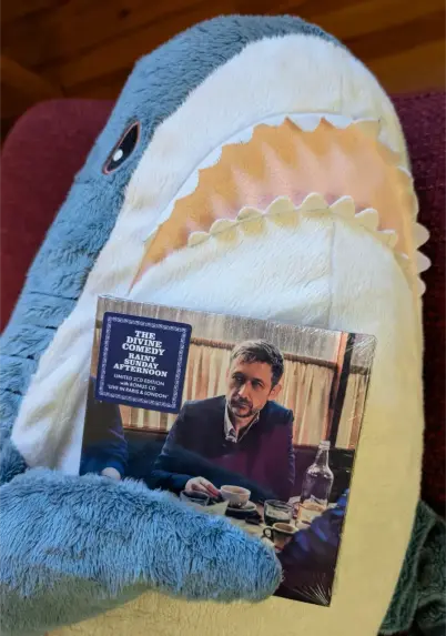 Hainrich, der Blahaj, klammert sich an das neue Divine-Comedy-Album.