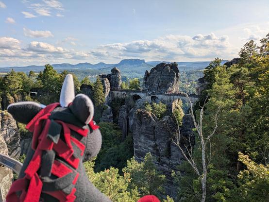 Rommie mit Blick auf die Basteibrücke