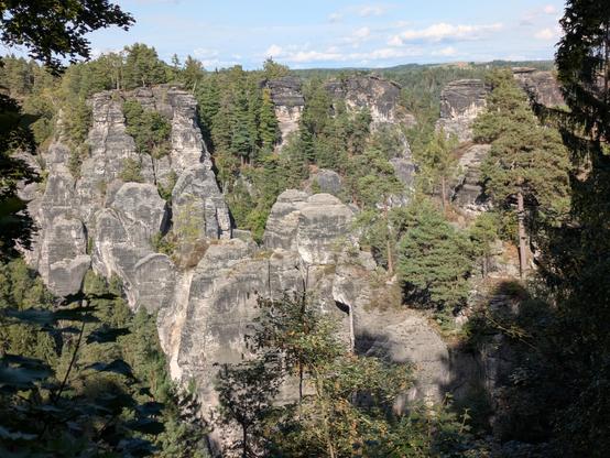 Sandsteinfelsen mit Bäumen in der sächsischen Schweiz