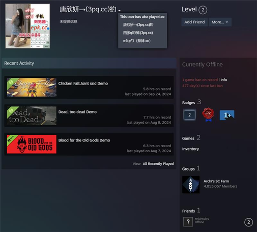 Screenshot of a Steam profile where the username contains the domain 3pq[.]cc and the profile picture contains epk[.]cc
