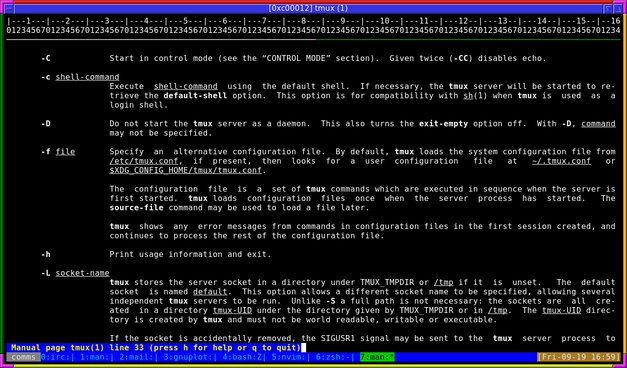 A terminal window, running tmux.

The top of the window has a horizontal split of three lines.  The first line shows numbers:

|---1--|--2--|---3---|

The second line counts from 01234567 repeatedly to denote the number of spaces in a tab character.